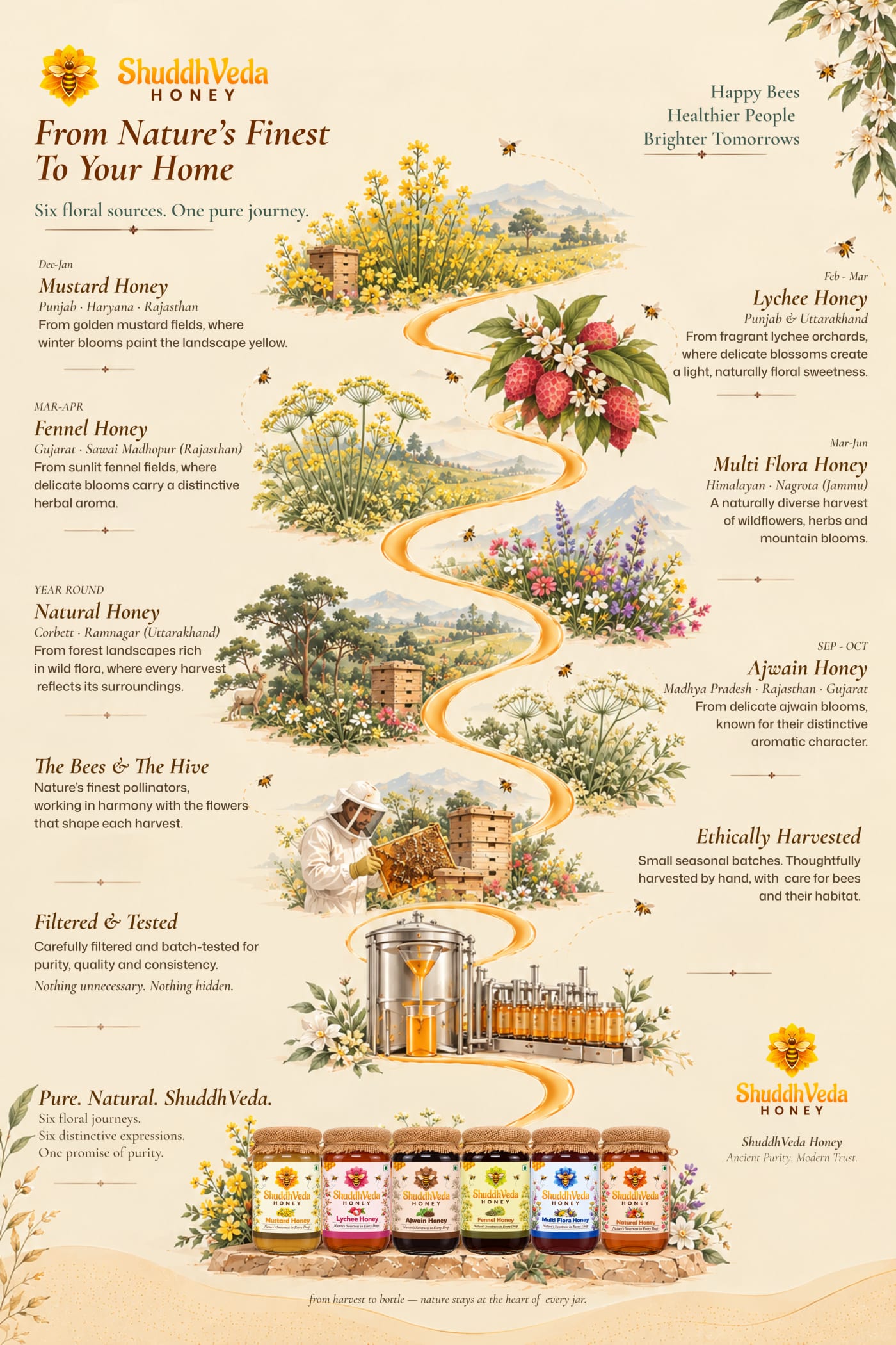 Follow the hive, Know your honey - Visual harvest timeline showing seasonal flowers from Mustard, Lychee, Fennel, Multi Flora, Natural honey to Ajwain, followed by ethical harvesting and gentle packaging delivered to your doorstep