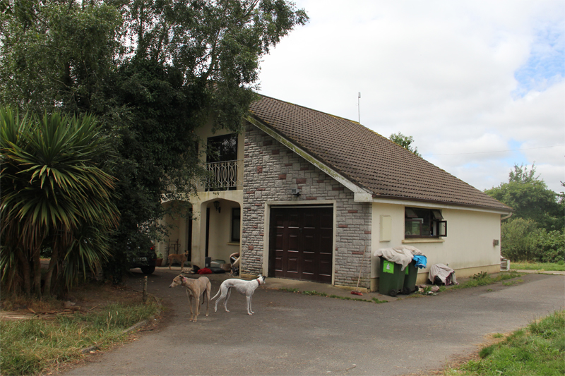 Clare Greyhound Sanctuary