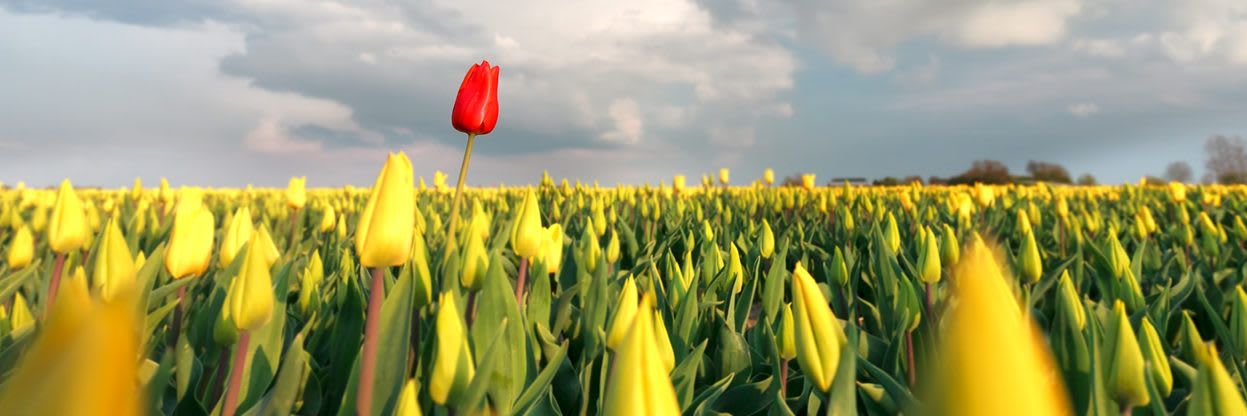 Identifying Outliers in Time Series Data