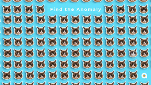 photo Funny Zoom Backgrounds Hilarious Teams Backgrounds hilarious zoom virtual backgrounds