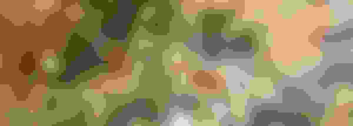 Imre Avalo appointment hero image