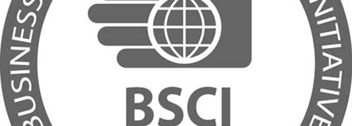 Bsci-logo-Participant-of-BSCI 500x500 web