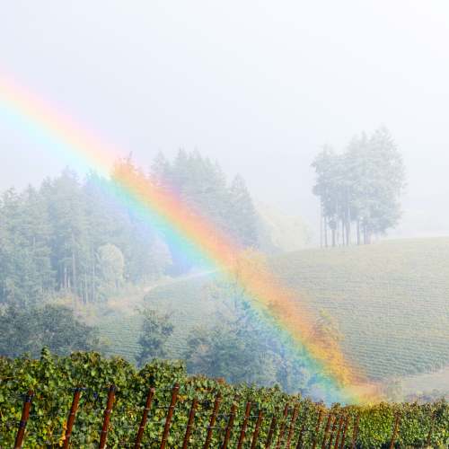 2023_09_26_LF_harvest_286A8906