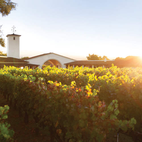 Robert Mondavi
