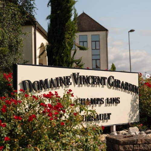 Vincent Girardin_domain