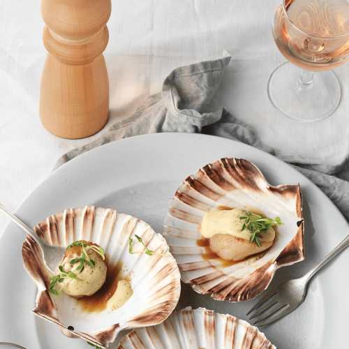 Pilgrimsmusslor med hollandaise.