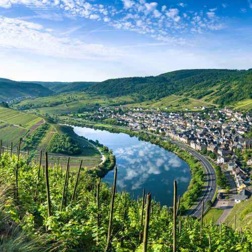Rheinhessen i Tyskland.