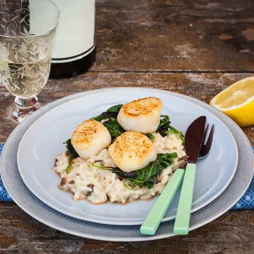 Kantarellrisotto med pilgrimsmusslor