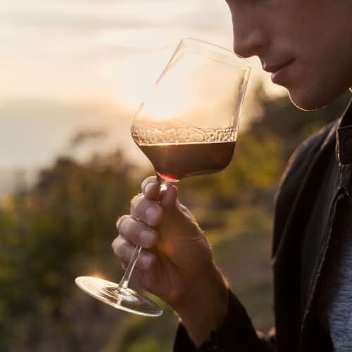 Man som doftar på vin i ett vinglas på en vingård.