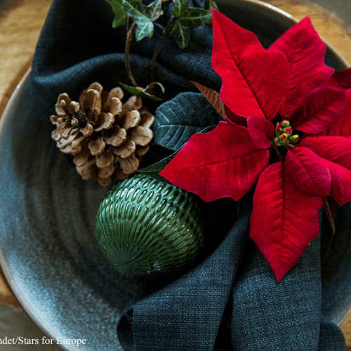 Julpynta med julstjärnor och andra blommor
