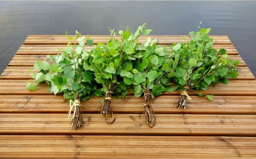 Birch twigs in sauna