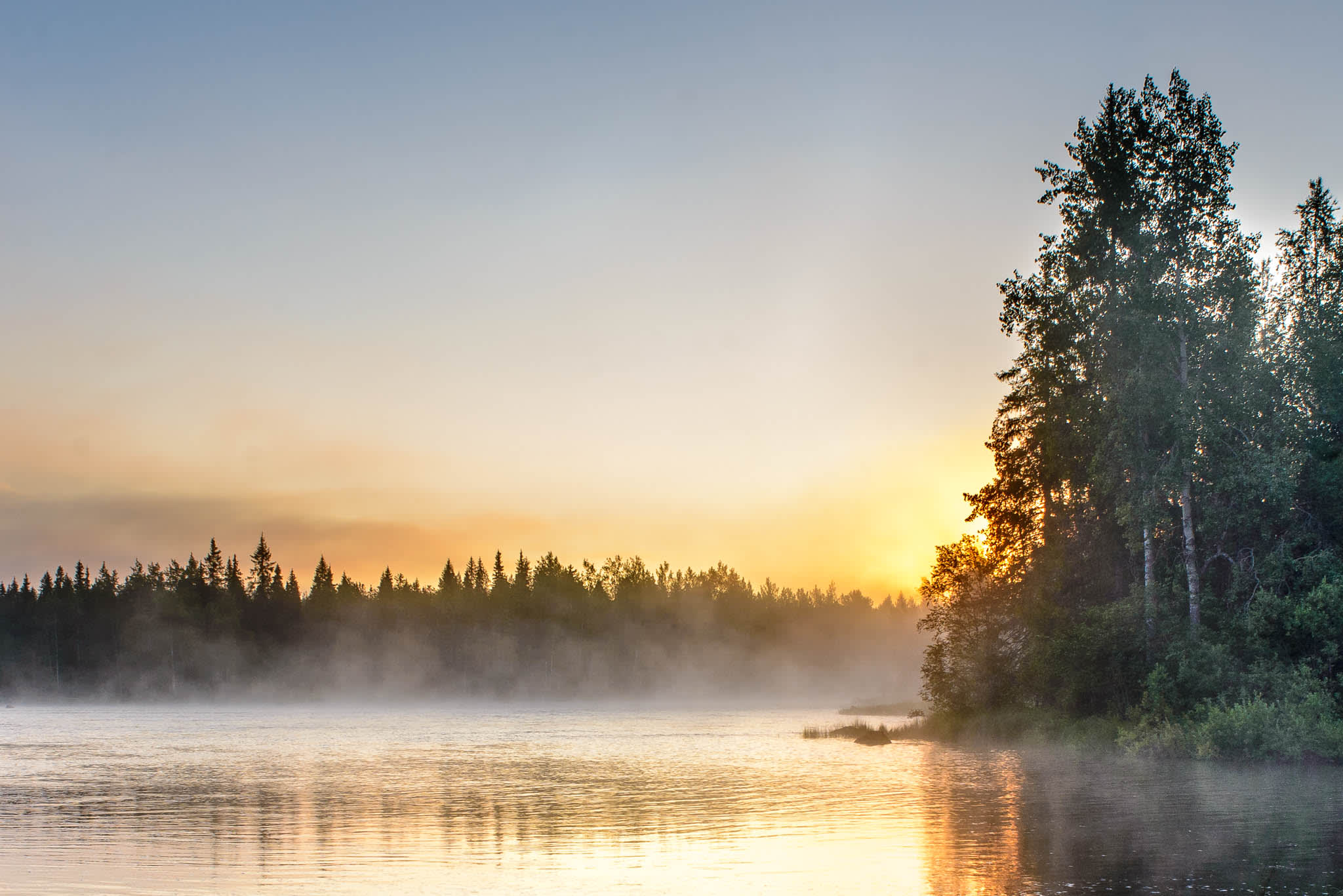 Nordic lake view with fog