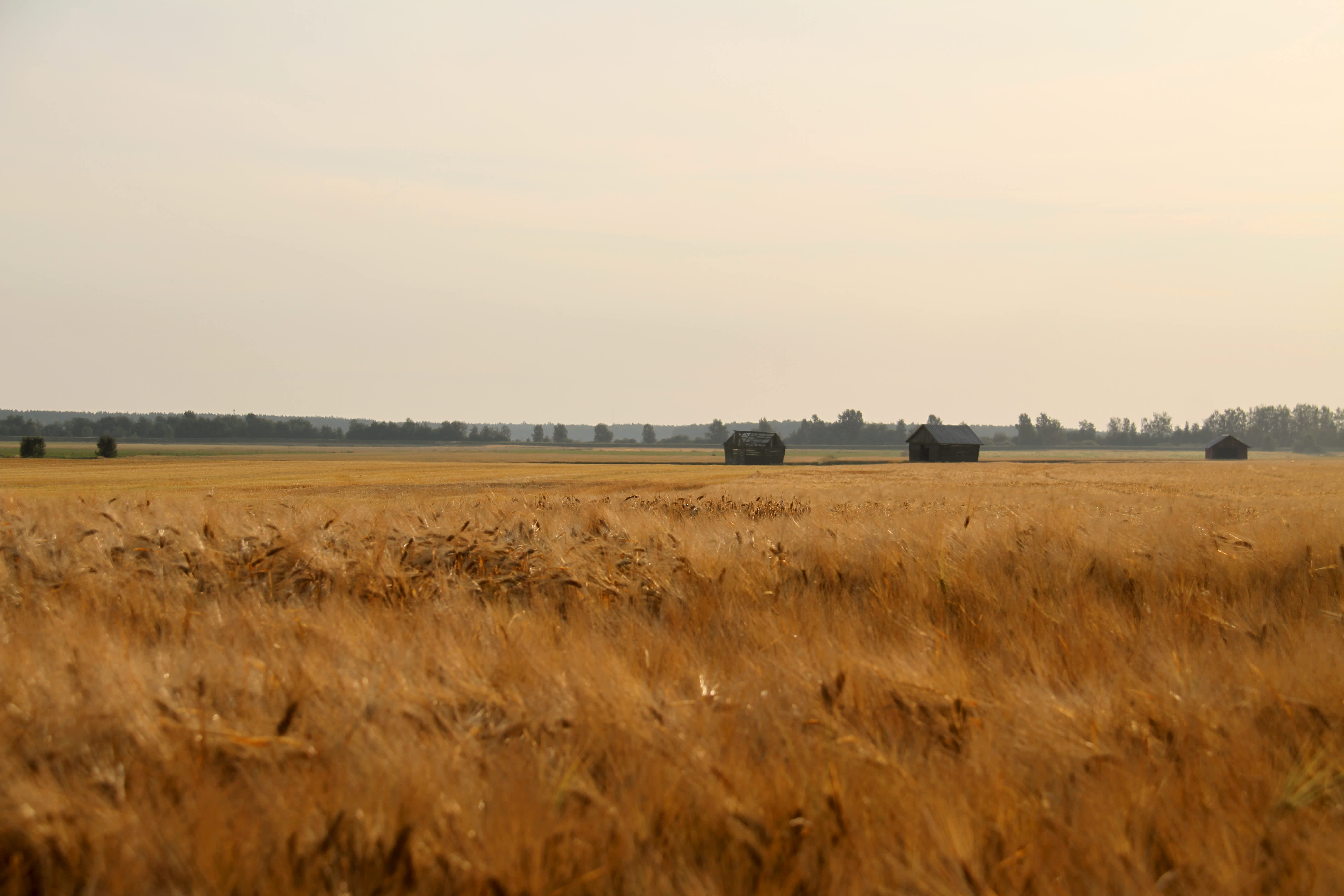 Ohrapelto Koskenkorvalla