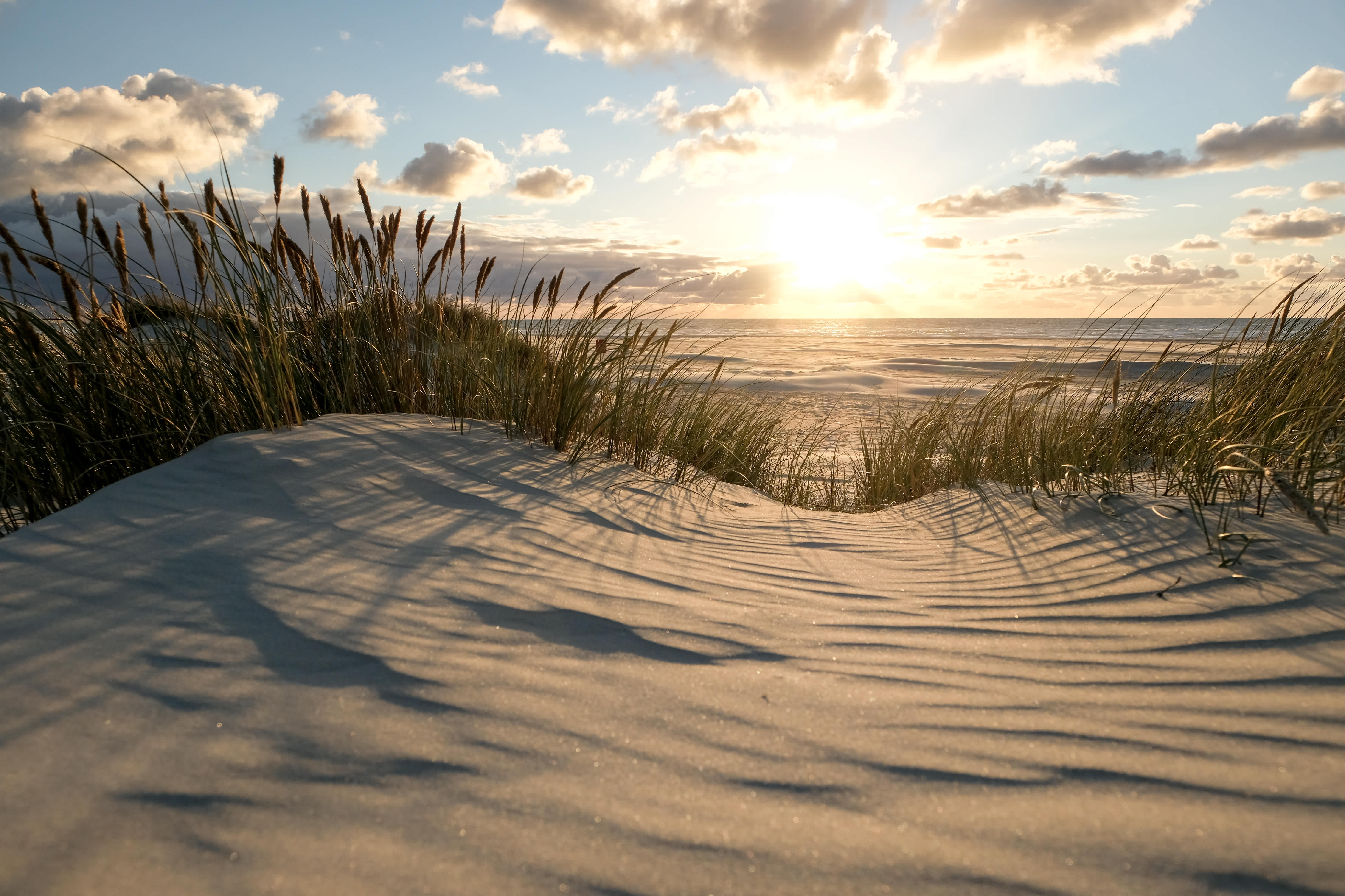 shutterstock 1822013300