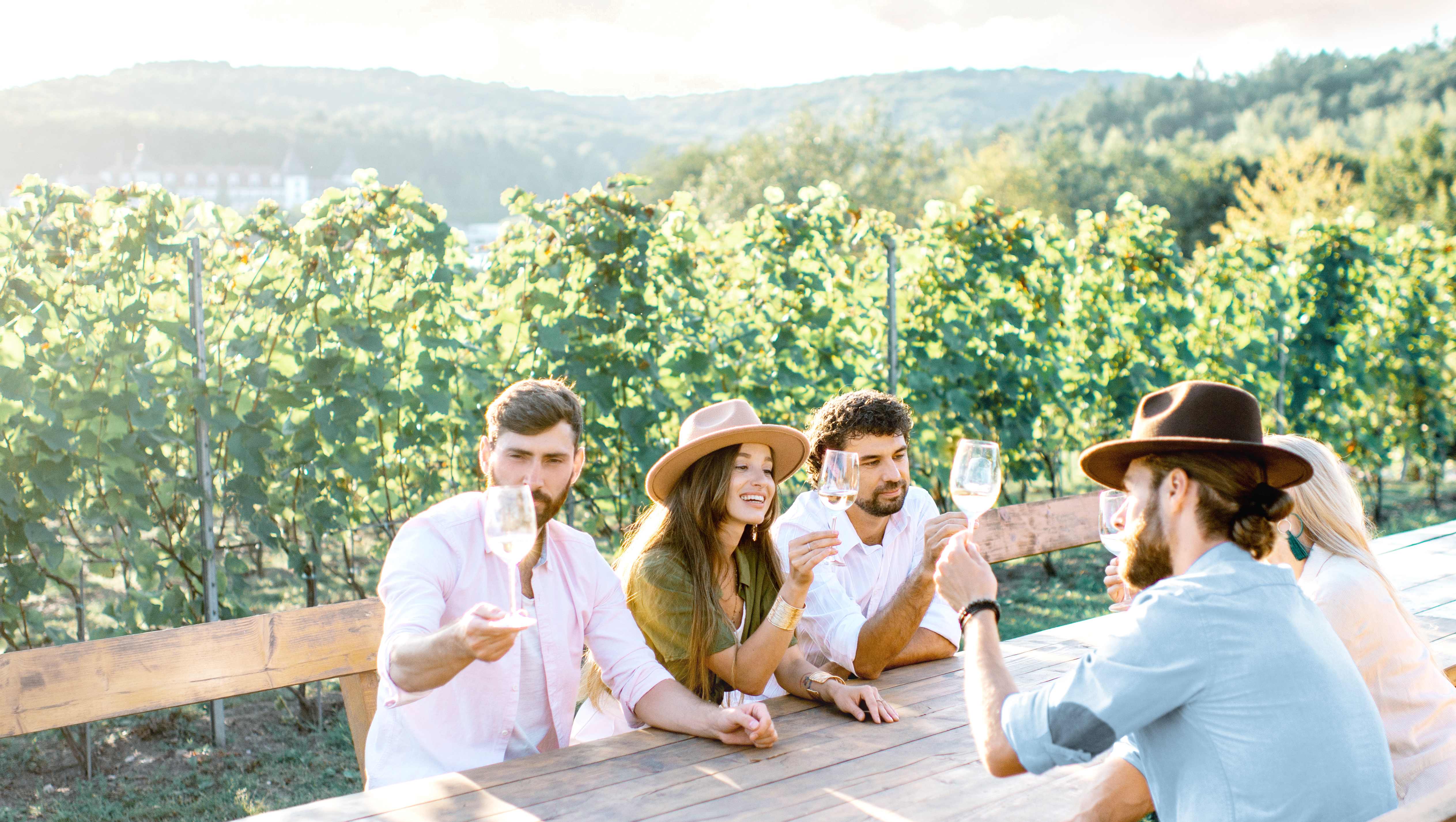 Milla Sorsakivi - Career story