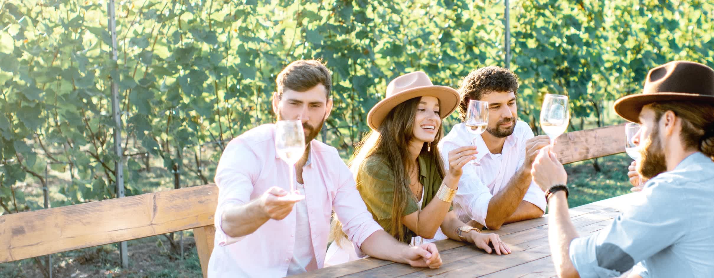 Anora - ihmisiä viinitilalla - leveä taustakuva