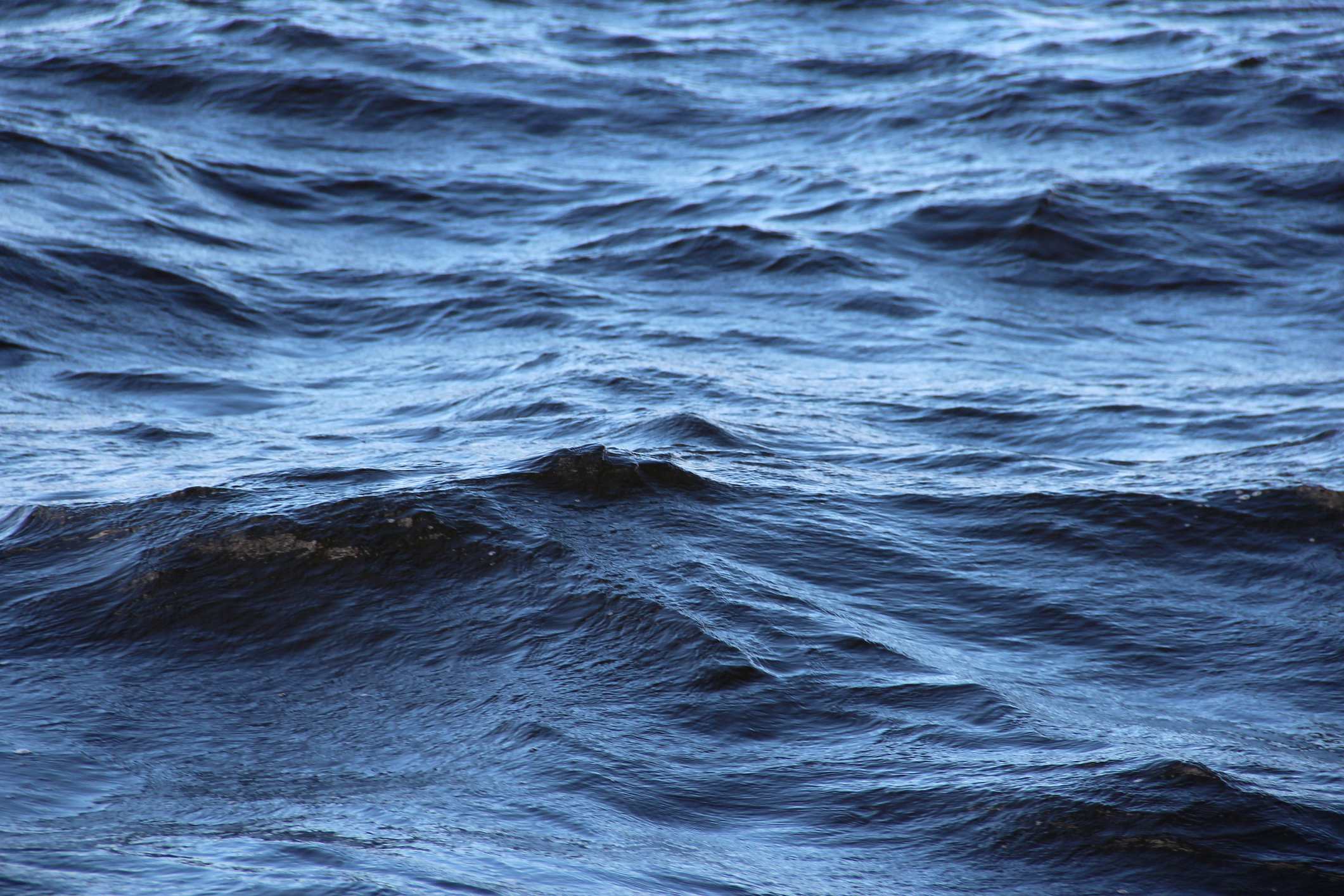 Mikkel Pilemand appointment