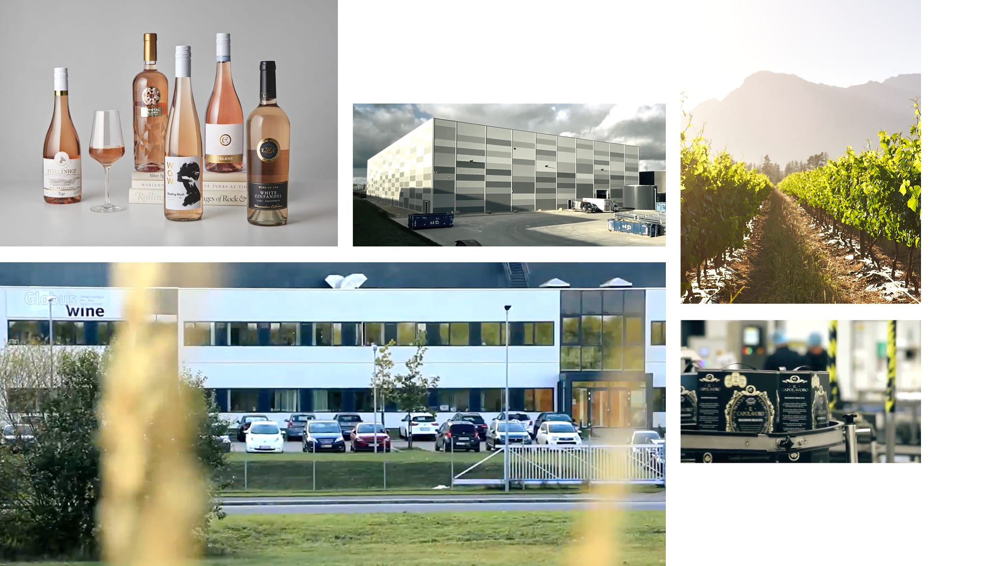 Anora - Globus Wine images