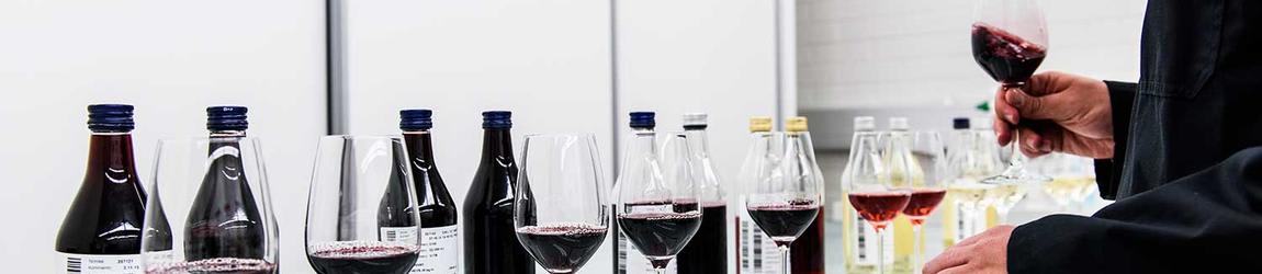 Laura Koivisto - Uratarina