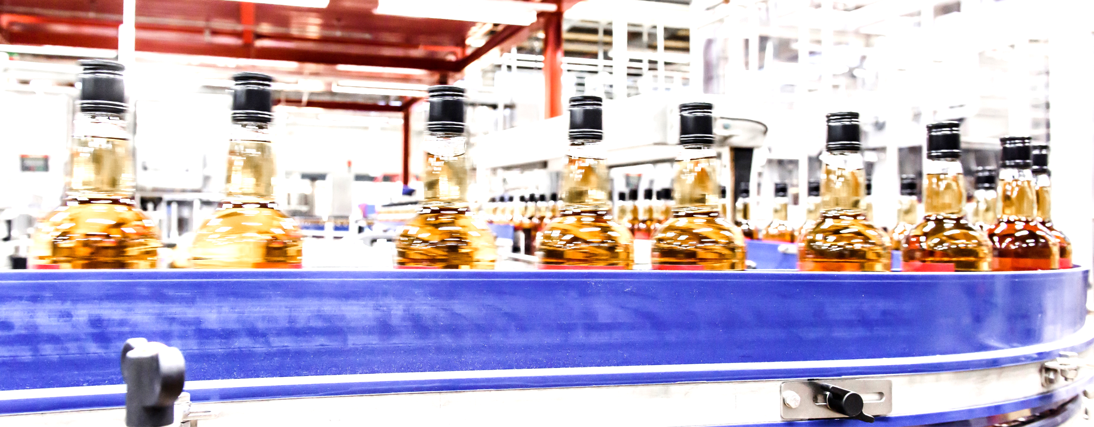 Ilkka Sainio - uratarina