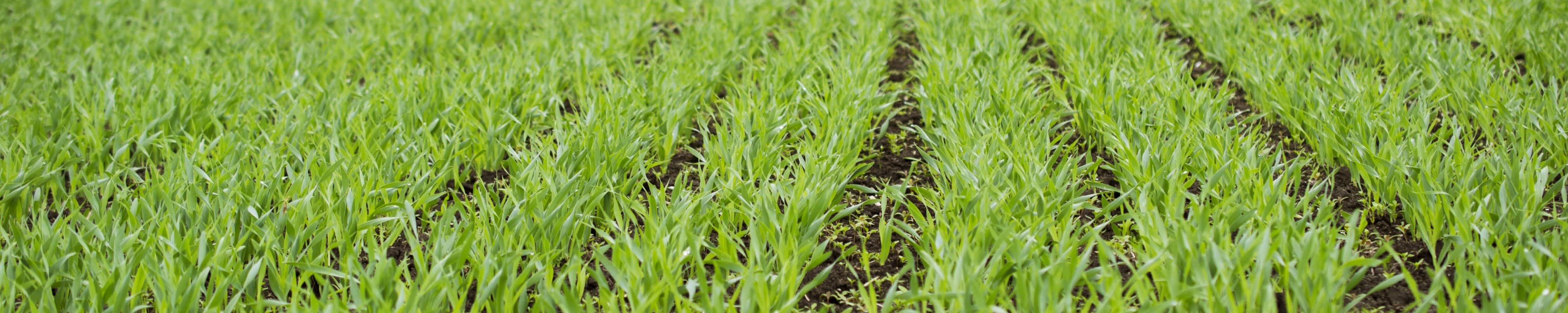 Anoran vastuullisuustyö sai vaikuttavan alun: merkittäviä saavutuksia vuonna 2021