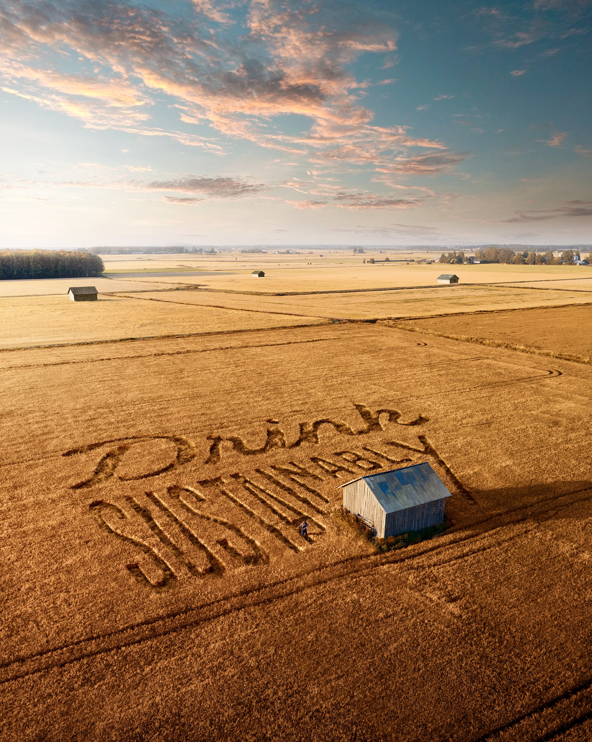 süsinikneutraalne tootmine