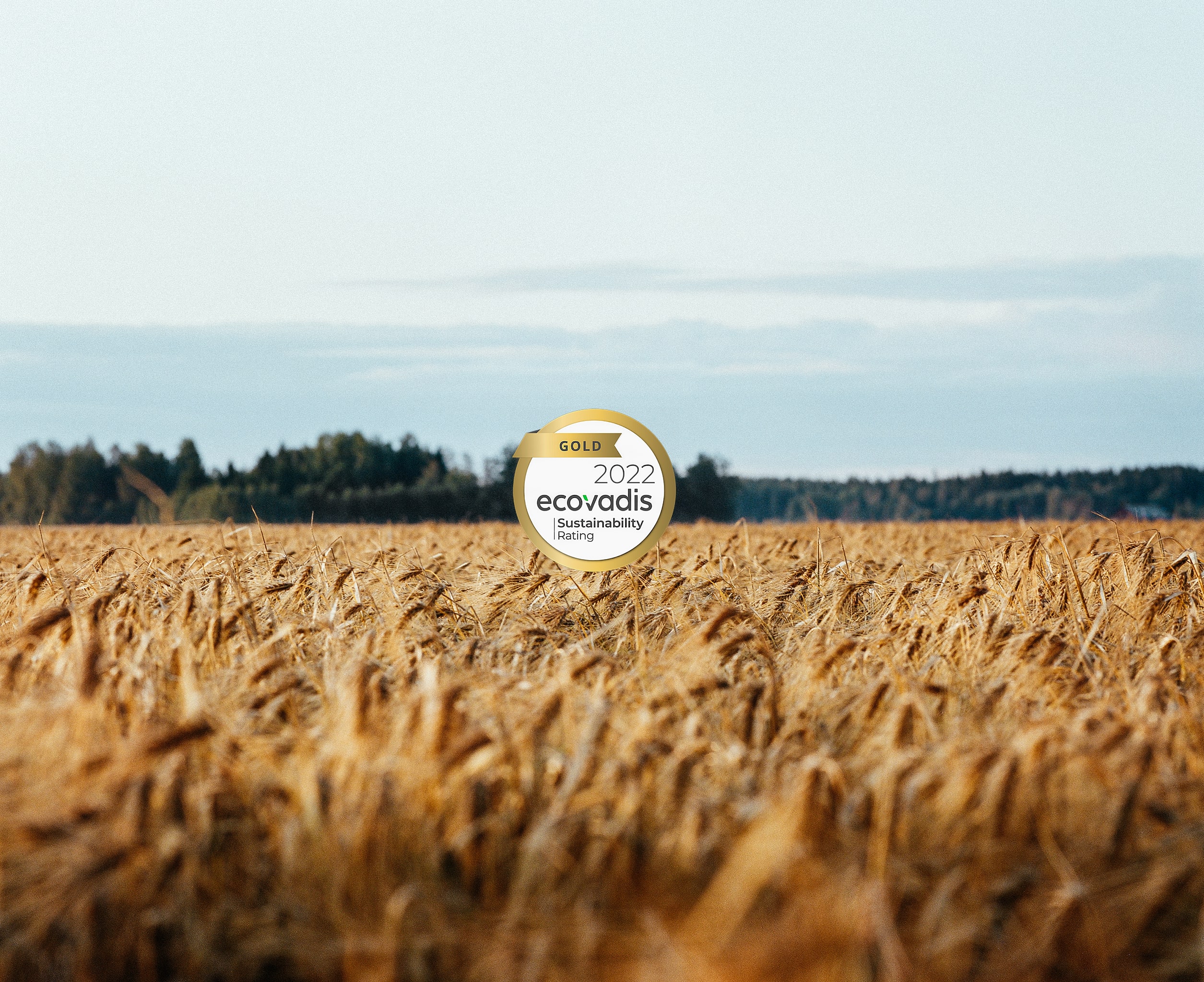 Anora EcoVadise kuldmedal