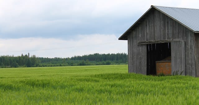 Maaperän hiilensidonnan eri näkökulmat esillä Helsingissä