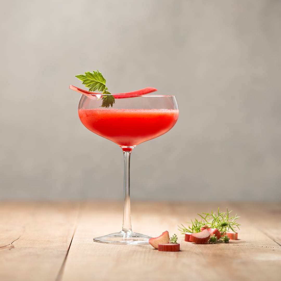 Vaarikapalgeline Rabarber 