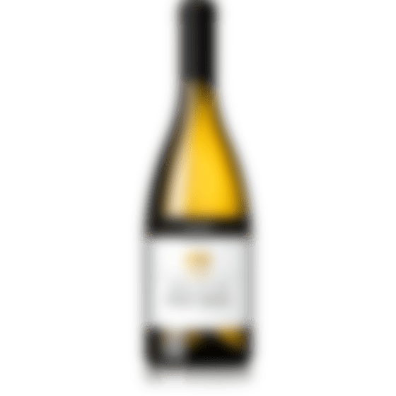 joogikultuur/Kellerei-Bozen-Pinot-Grigio