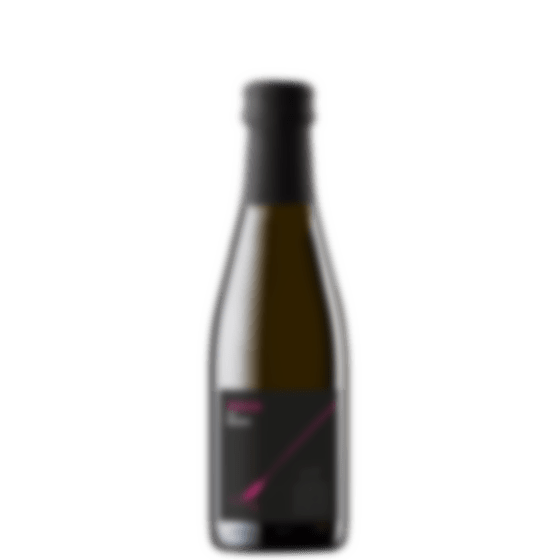 Värske ja poolkuiv Prosecco on ideaalne aperitiiv ja seltskonnajook!