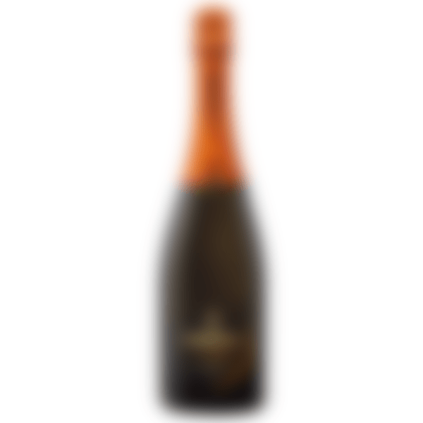 Spetsiaalselt Aperol Spritzi segamiseks loodud Cinzano Pro Spritz on kuiv, värske ja mahlakas vahuvein!