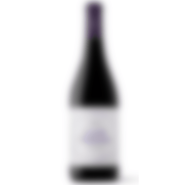 Conde Valdemar Tempranillo