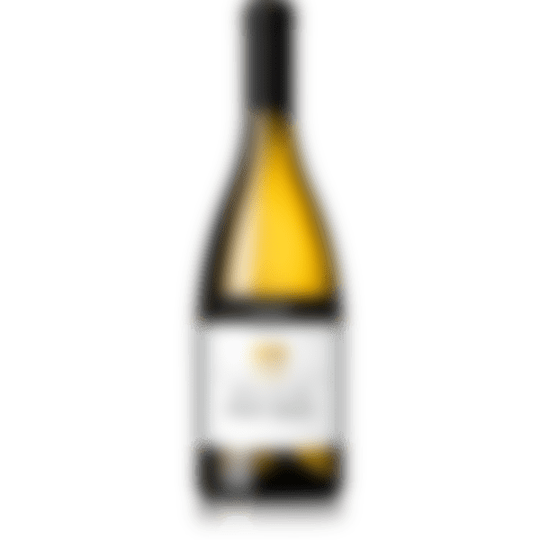 joogikultuur/Kellerei-Bozen-Pinot-Grigio