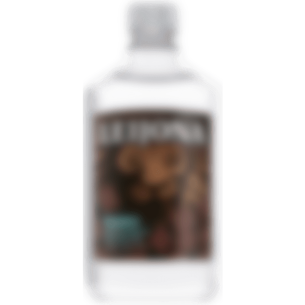 Leijona Minttu-Suklaa Shot 25% 50 cl PET