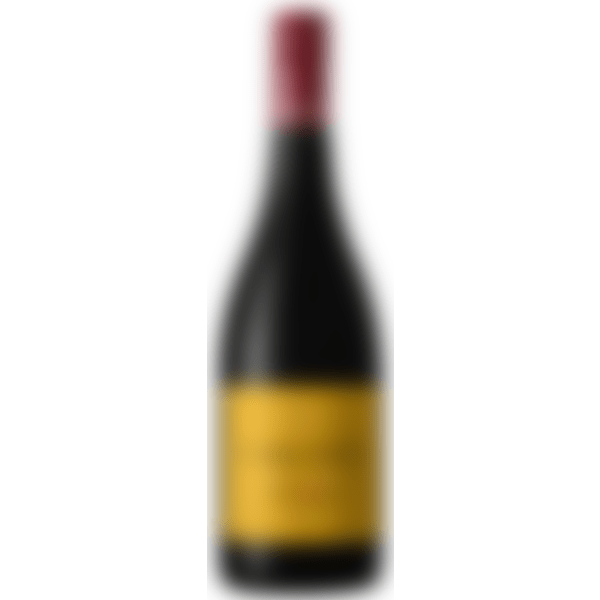 Sametiste tanniinidega rubiinpunane Pinot Noir sobib hästi nii grillitud lõhe, pardi, sea kui ka veise kõrvale.