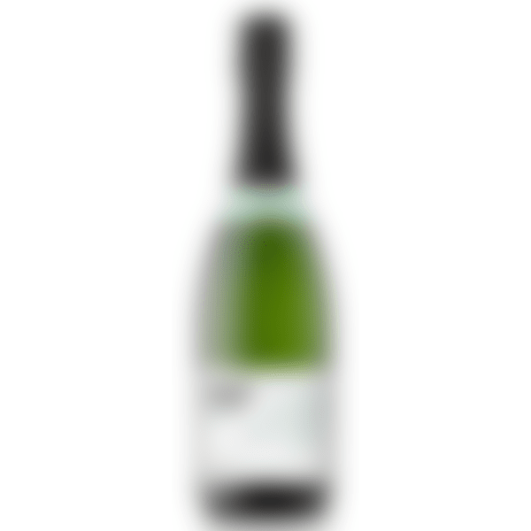 Värske ja tsitruselise stiiliga klassikaline Cava vahuvein!