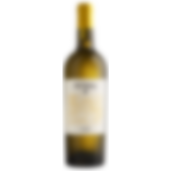 ​Old Tbilisi Alazani White​