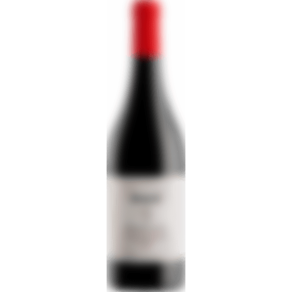 Masi Bonacosta Valpolicella Classico