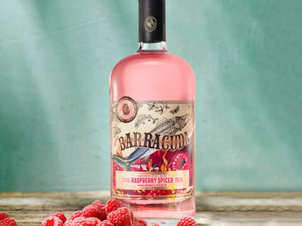 Barracuda Raspberry Spiced - cta