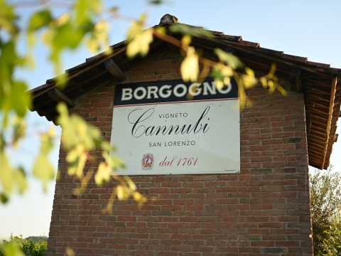 Borgogno_kyltti