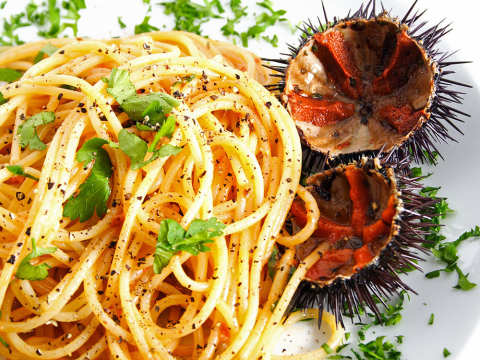 Ricci di mare