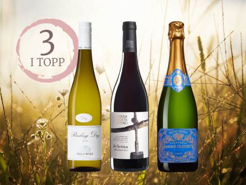 3 goda viner att sippa på