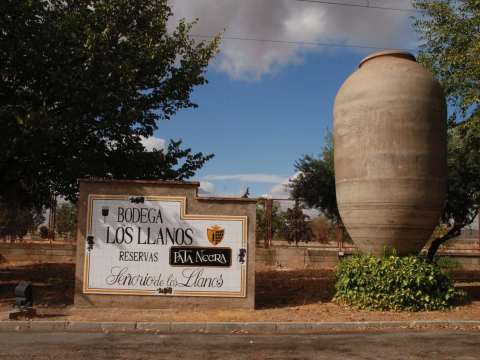 Bodega Los Lanos