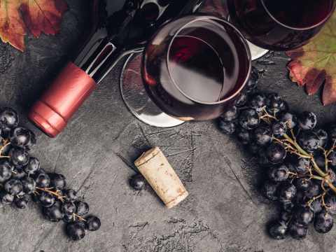 Druvan barbera.