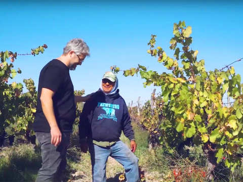 Mariano Olaiz på vingården Bodega Montlaiz