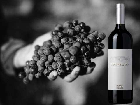 Bodega Noemia J Alberto Malbec