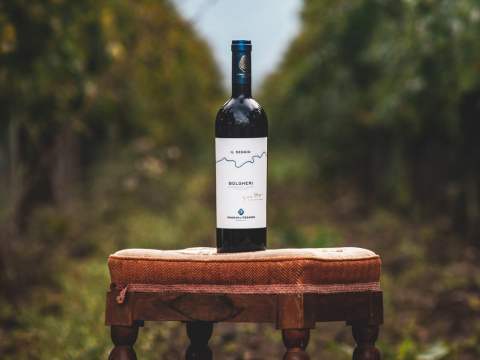 Il Seggio, vin från Bolgheri.