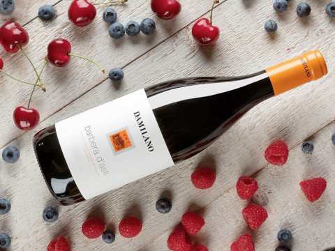 Damilano Barbera d'Asti.