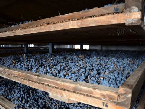 Hylla med druvor som ska bli amarone